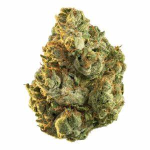 Edison - Hollywood Og -  Indica 3.5G