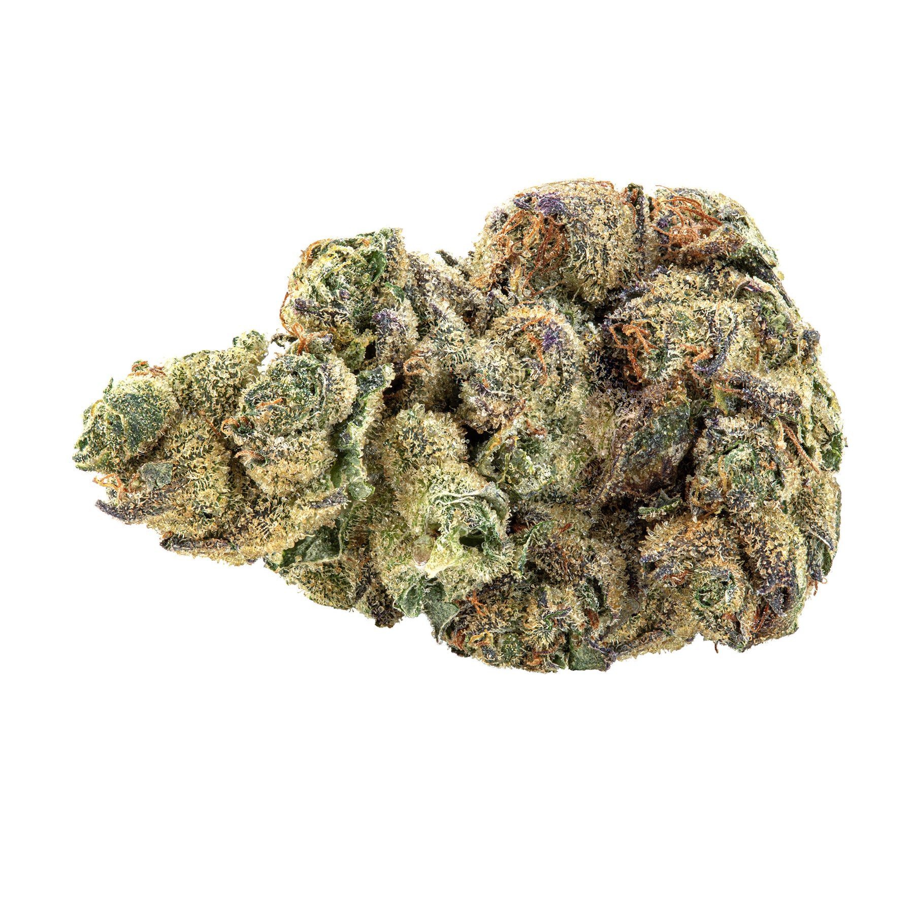 Holy Mountain : GMO FIRESTORM