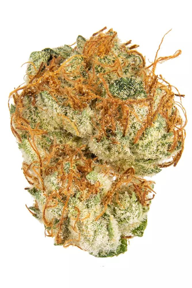 NESS : SOUR STRAWBERRY KUSH