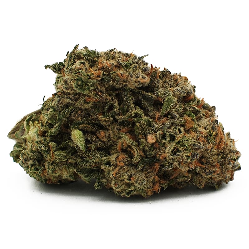 NUKEN : CITIZEN STASH