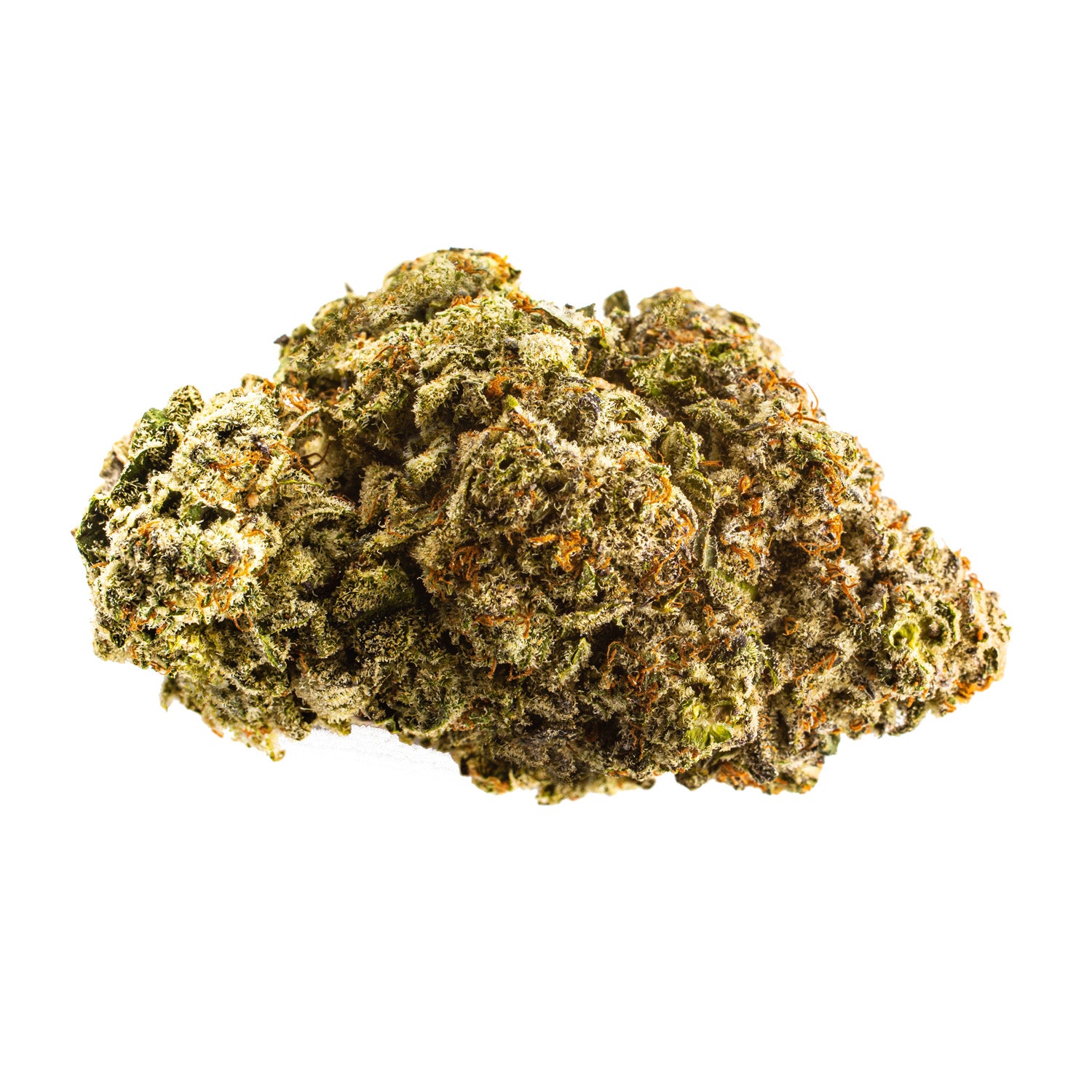 Phant Craft - Apes In Space - 7G