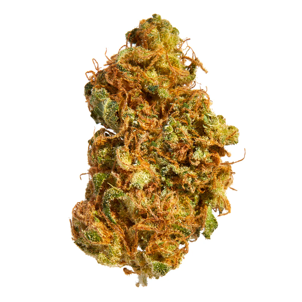 Royal High : LIBERTY HAZE