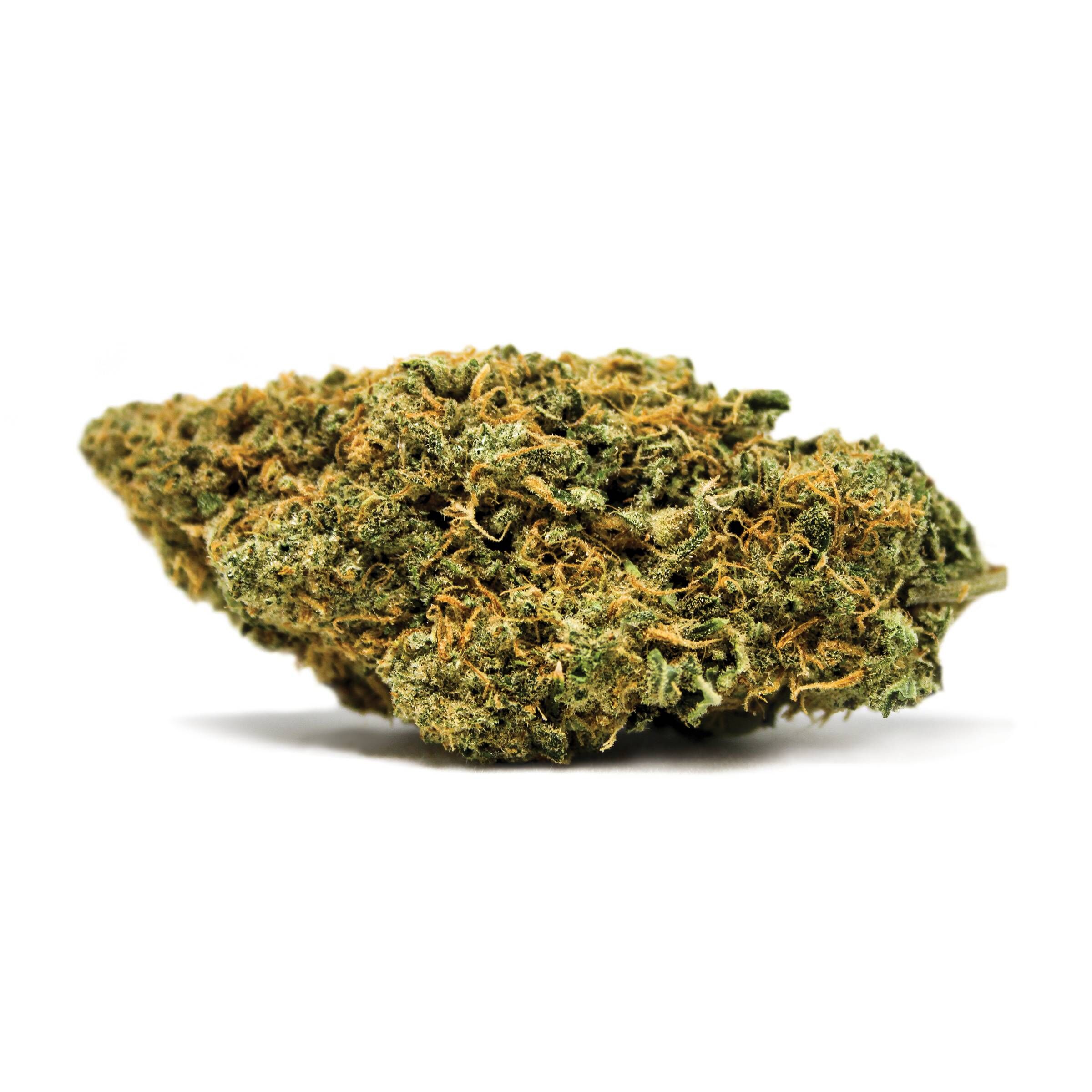 SPINACH : WHITE WIDOW