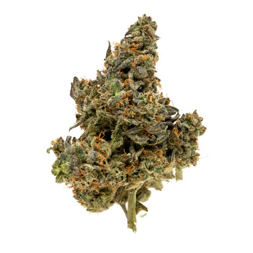 Simply Bare : Bc Organic Power Mintz Lto