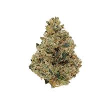 Whistler Cannabis Co. : ACAPULCO GOLD