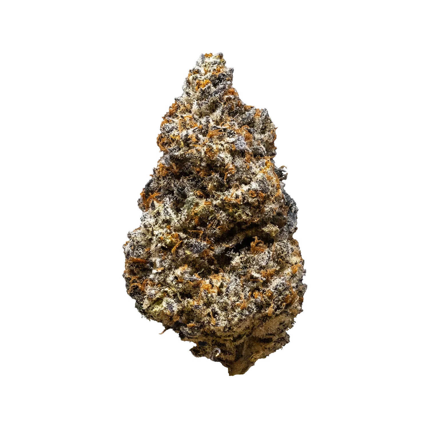 3Rd Coast Genetics : Oooze Breath