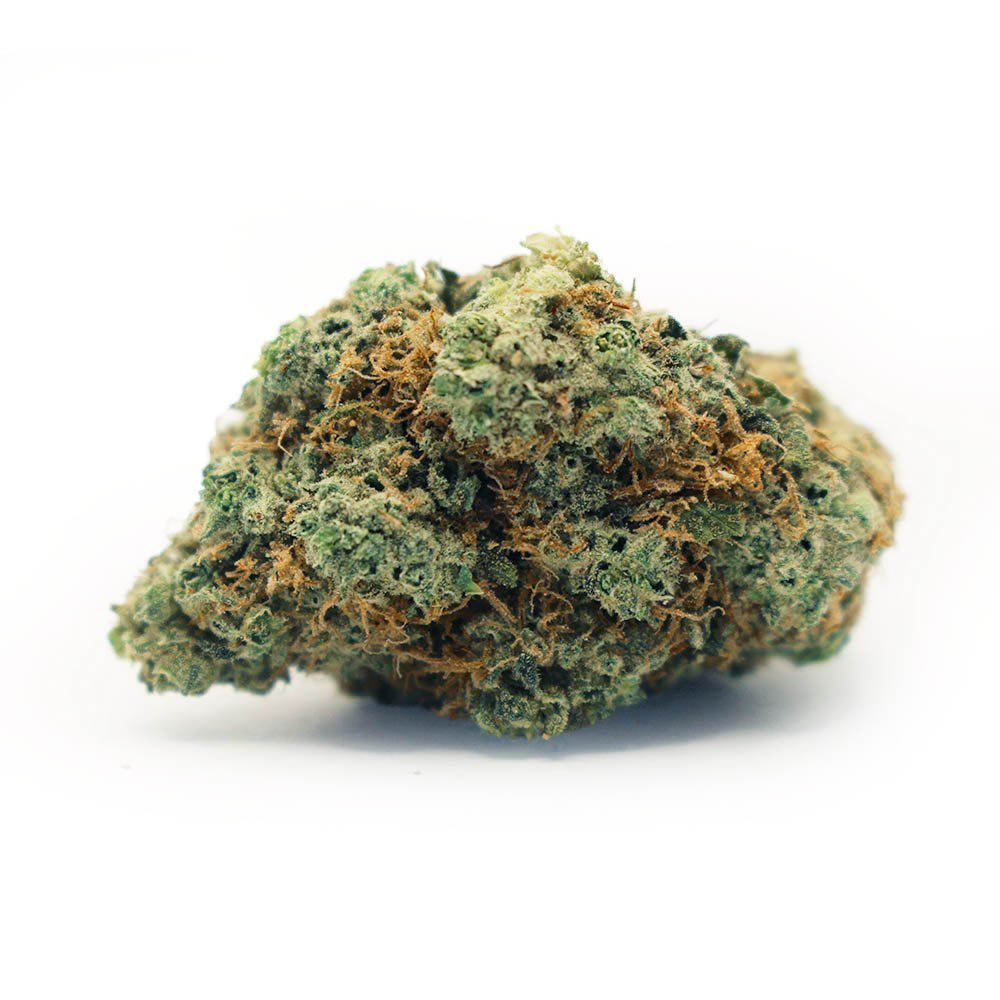 Organnicraft - Nitro Cookies - Hybrid - 2767 - 3.5G