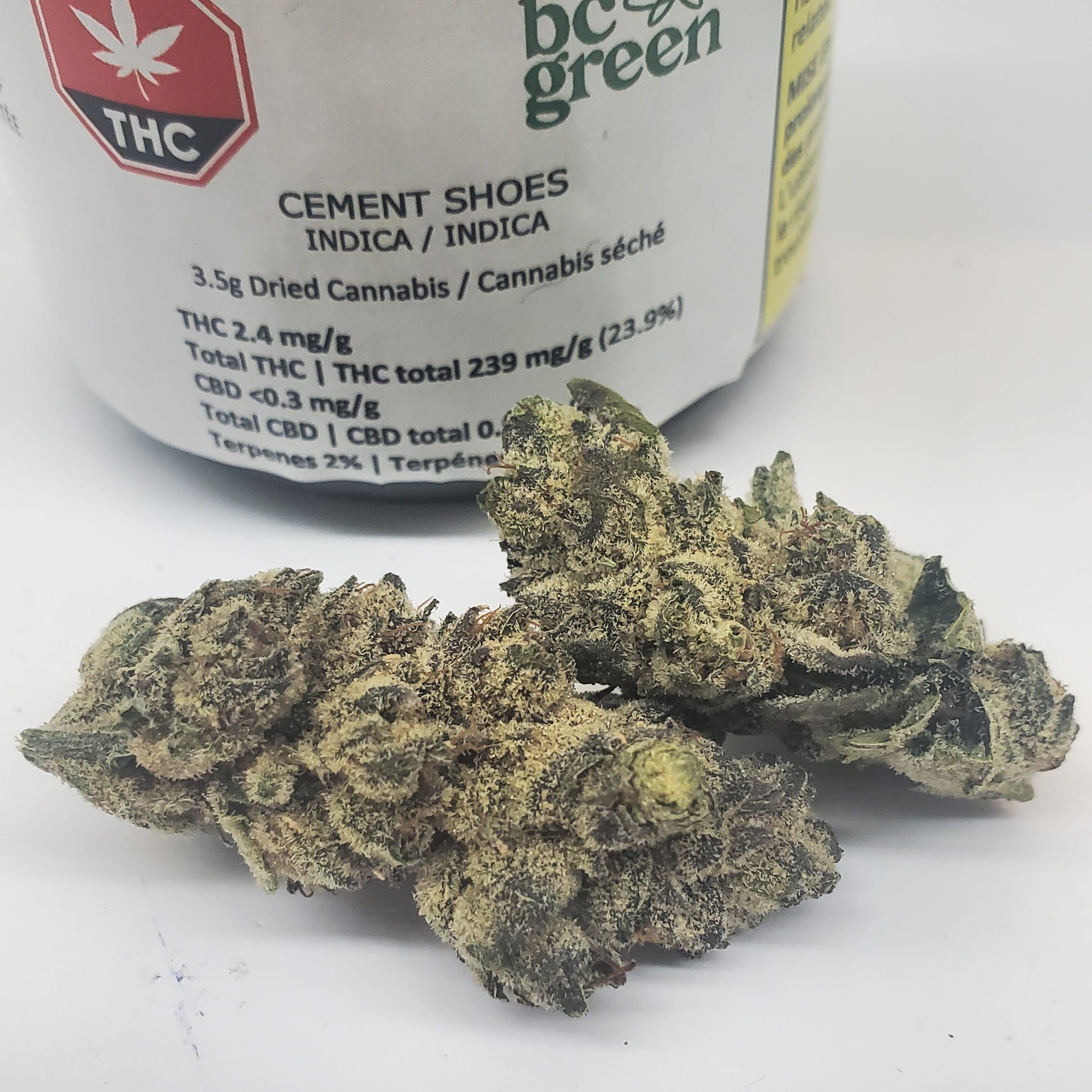 BC Green : CEMENT SHOES