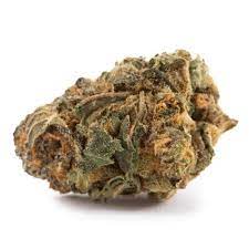 Vertical Cannabis : RIVERVIEW RIDE