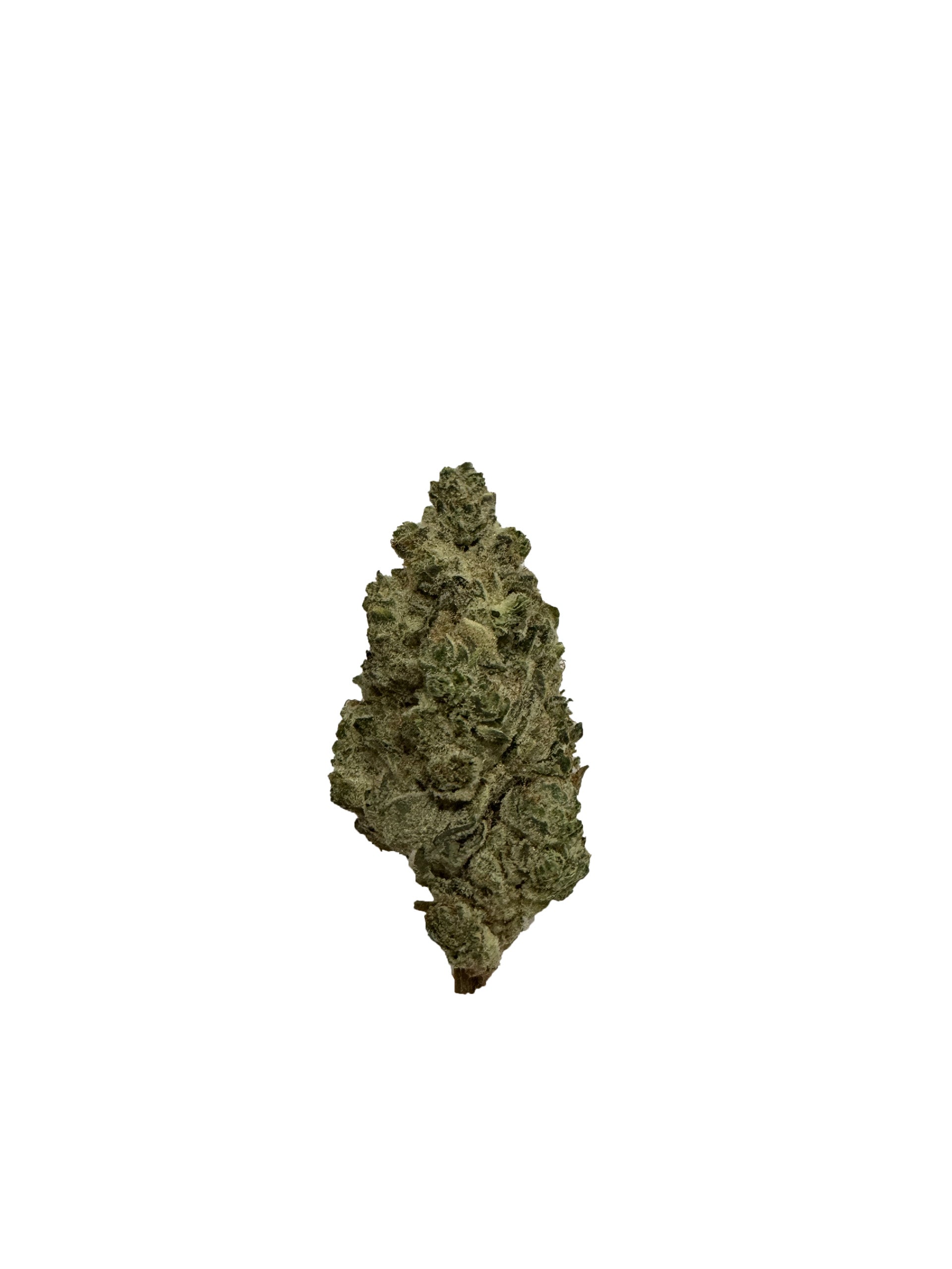 Jbuds Craft Cannabis : Quantum Kiwi Lto