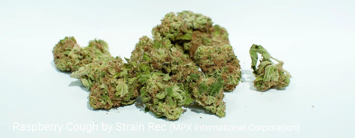 Strain Rec - Ruby Raspberry Blasteroids -  Blend 32G
