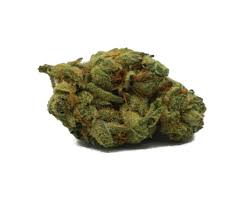 CITIZEN STASH : CHOCOLATE SOUR DIESEL