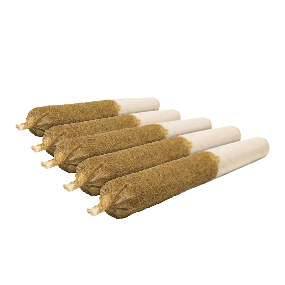 General Admission : Melon Mania Distillate Infused Pre-Rolls (5x0.5g)