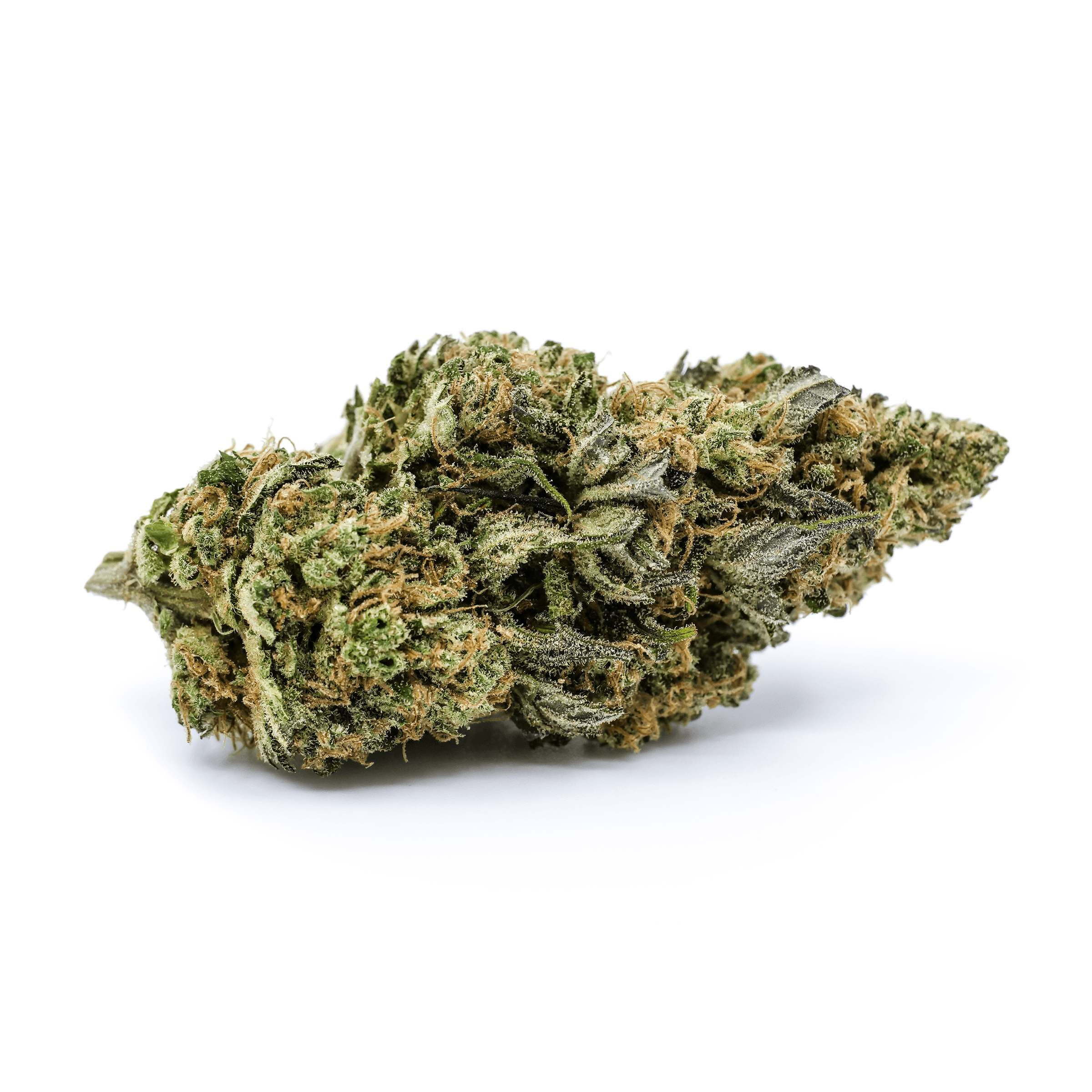 Redecan : SHISHKABERRY