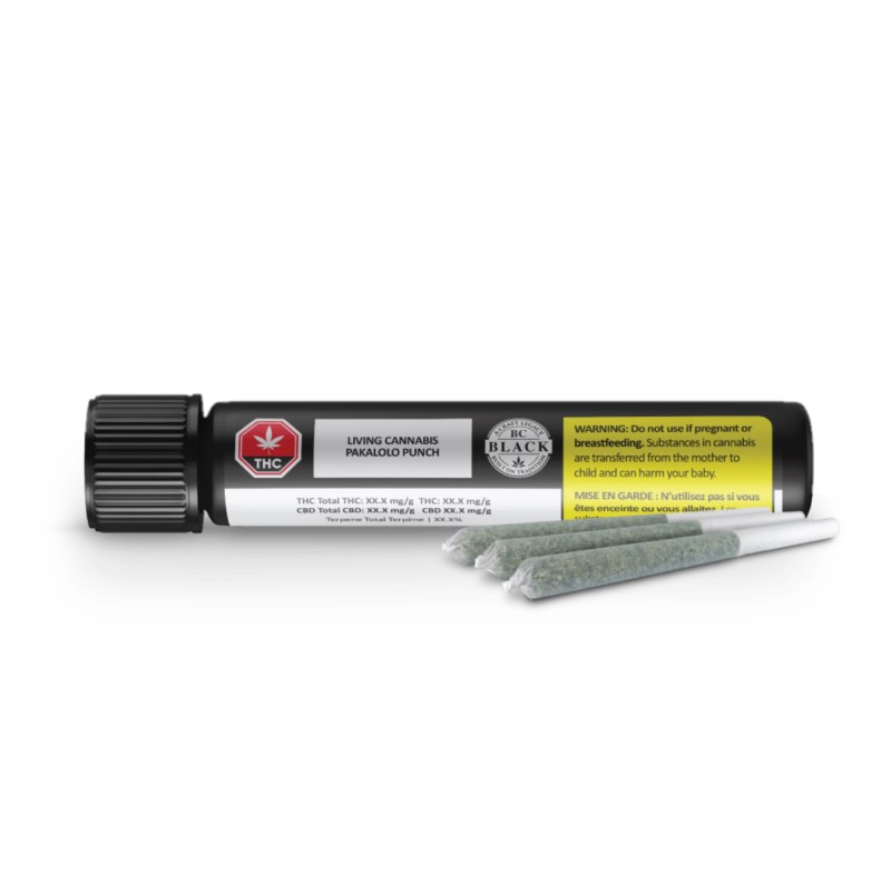 Bc Black - Living Cannabis Pakalolo Punch -  Indica 3.5G