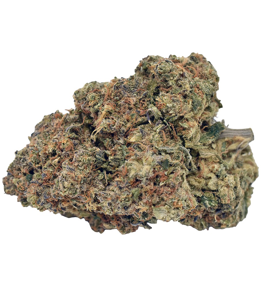 WEED ME : CINDY JACK
