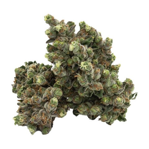 ORIGINAL STASH : GHOST GELATO (MERG #9)