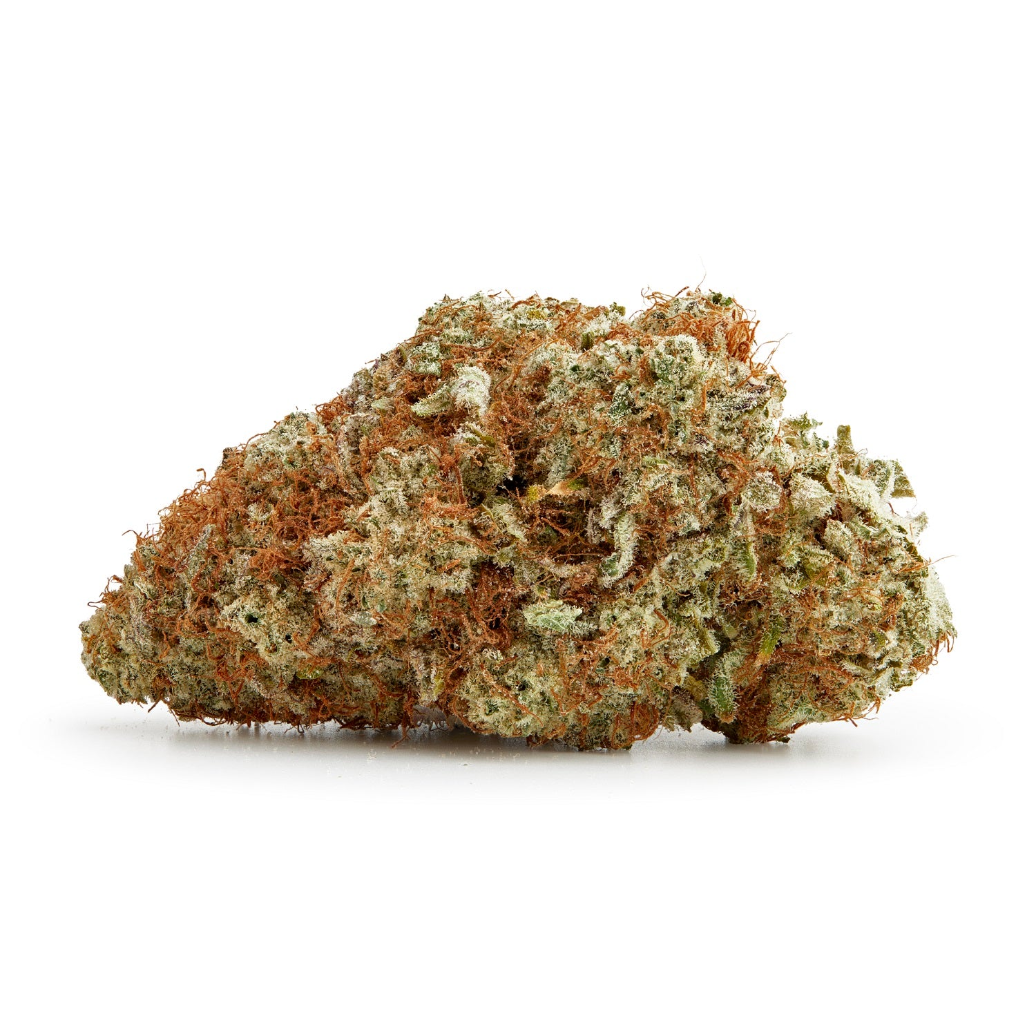 PALMETTO : TROPICANNA GOLD
