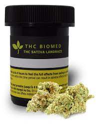 THC BioMed : DAGGA