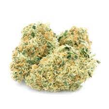 Haven St. : SOUR 92