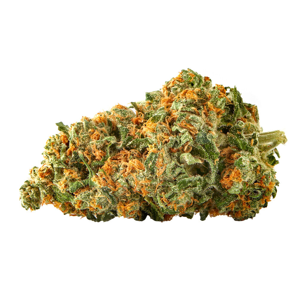 Sundial : LEMON RIOT