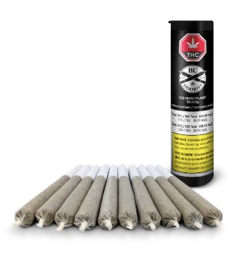 BC DOOBIES : G13 HASHPLANT 10X0.5G (G13 X HASHPLANT) - G13 HASHPLANT 10X0.5G (G13 X HASHPLANT) (10 X .5G)