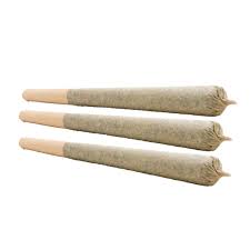 NESS : POWDERED DONUTS PRE-ROLLS (7x0.5g)