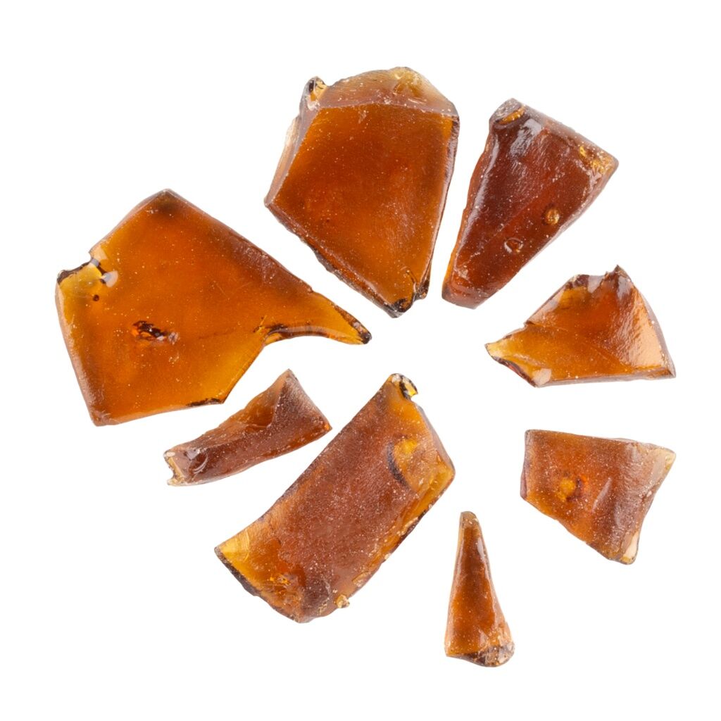 ABCANN MEDICINALS : FIRESIDE X SHATTER - GLUEBERRY (1g)