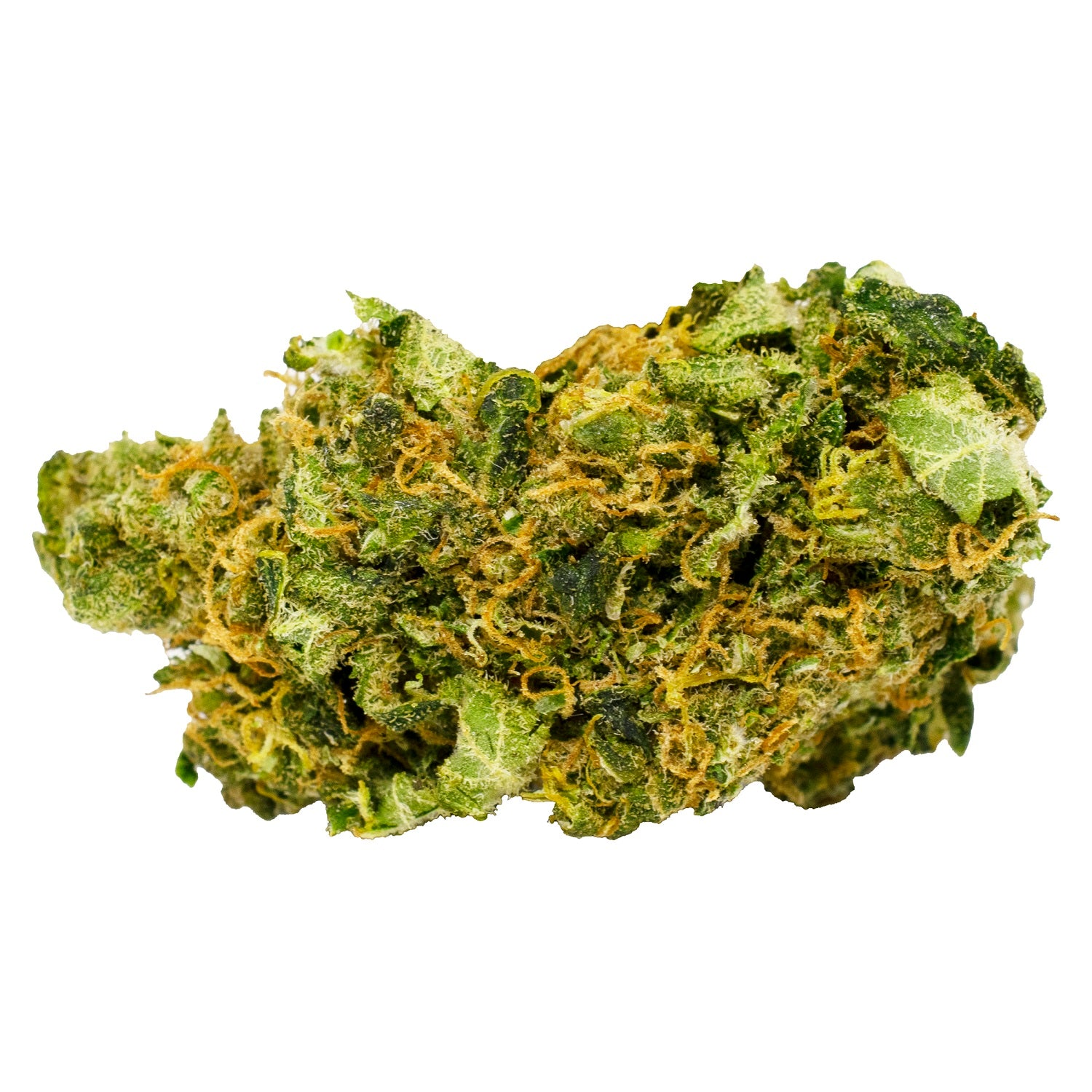 THC BIOMED : DRAGON'S LETTUCE PREMIUM SATIVA