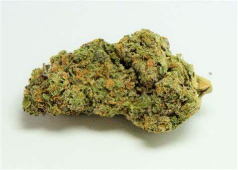 CASTLE ROCK FARMS : STANKASAURUS PRE-ROLLS - STANKASAURUS PRE-ROLLS (3x0.5g)