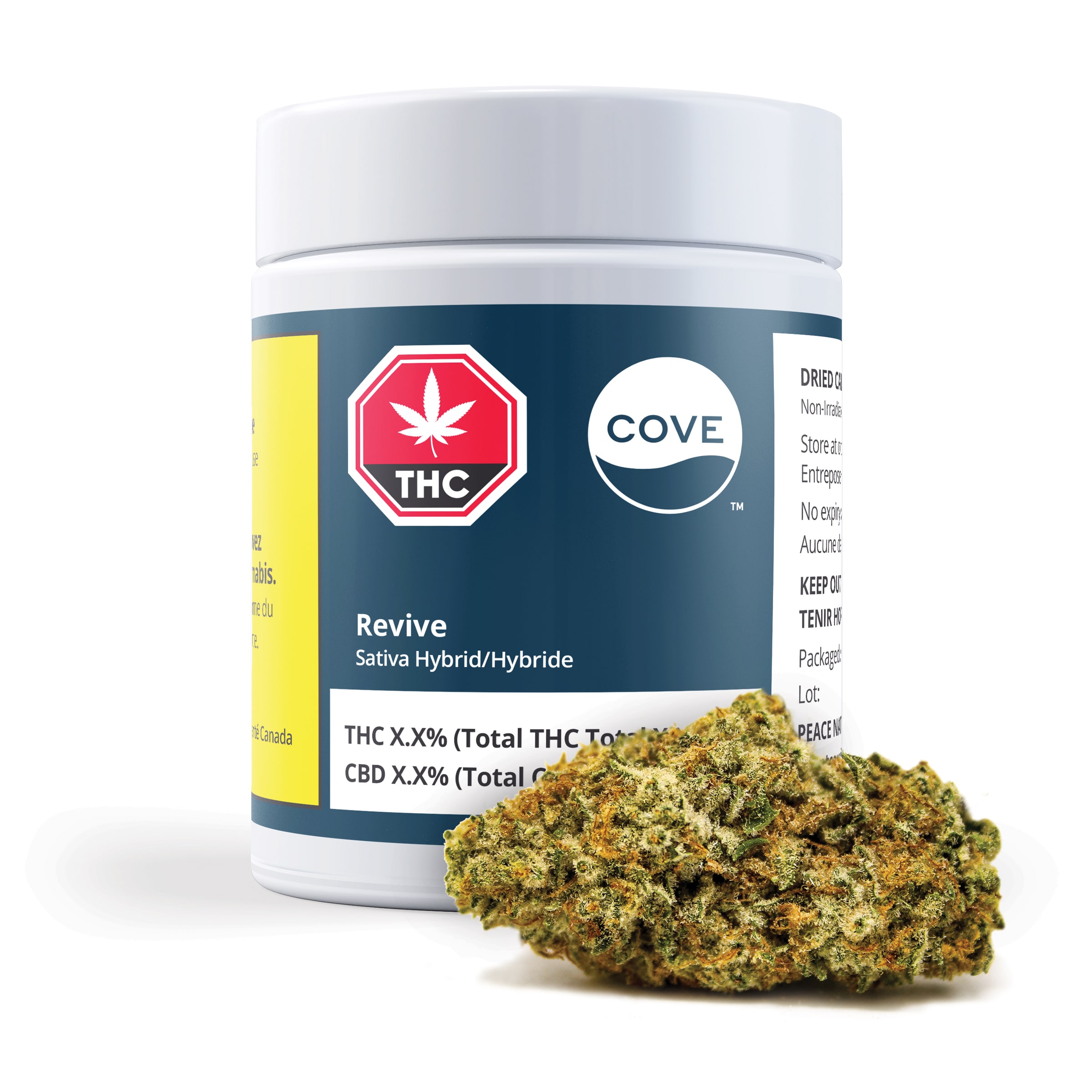 Cove : REVIVE