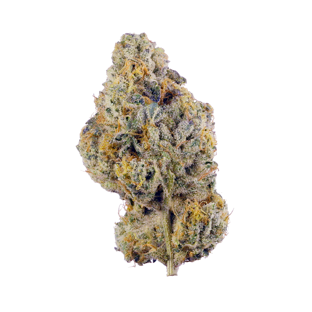 34 Street Seed Co : GOLDEN LEMON 2.0 (4g)