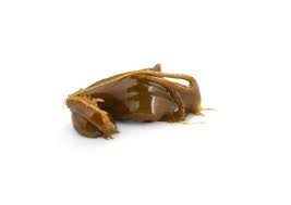 Good Buds Company - Mango Taffie Flower Rosin -   0.5G