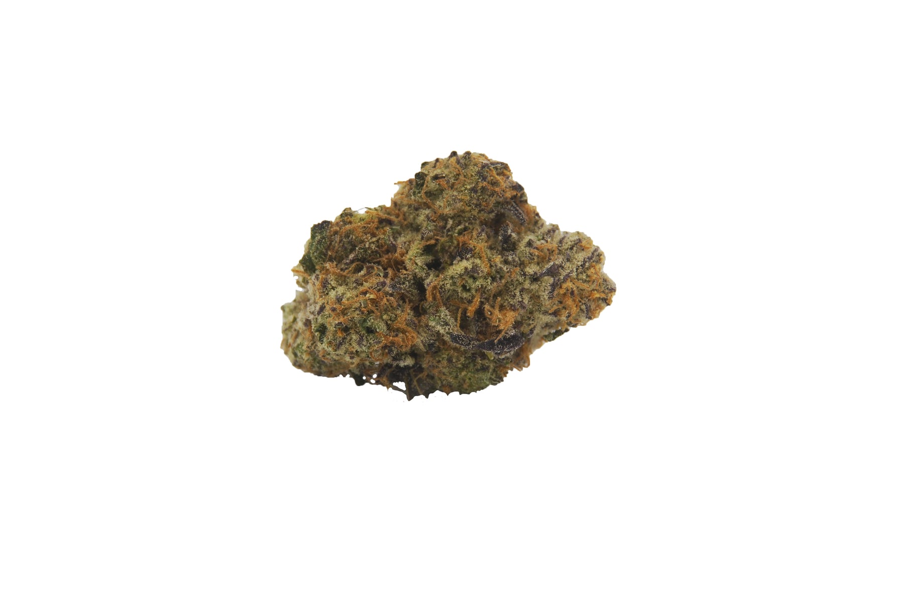 Citizen Stash : CREAMSICLE
