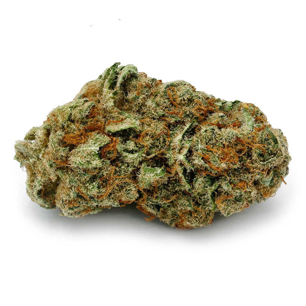 PURE SUNFARMS : PENNYWISE 1:1