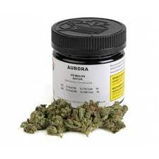Aurora : OG MELON