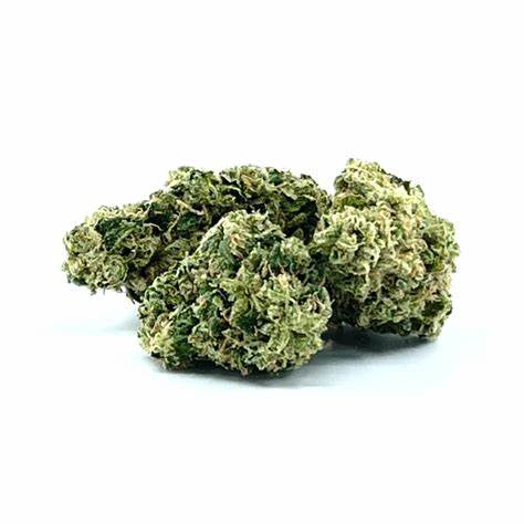 Bud Coast - Hippie Headbanger -  Sativa 3.5G