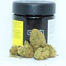 7ACRES : PAPAYA