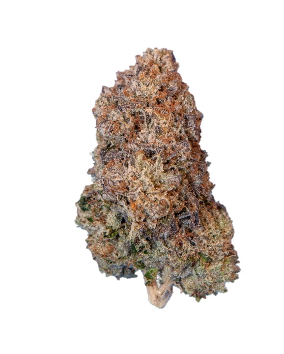 Pemberton Craft Cannabis : BLACK TUSK OG