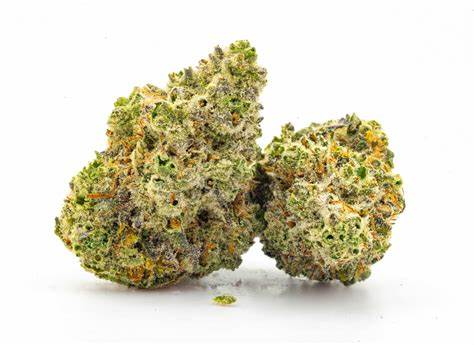 Sitka Micro Collection - Lilac Diesel -  Hybrid 3.5G