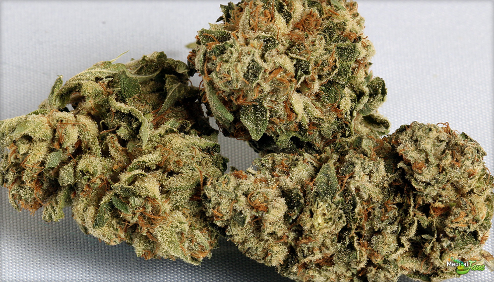 Legit - Kush -  Indica 3.5G