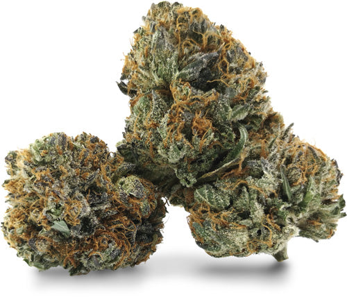 BC Black : STONEGROVE THE NEW