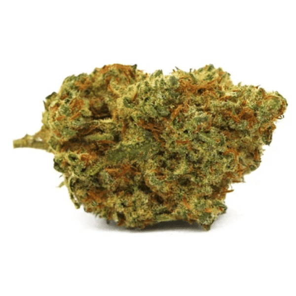Wildlife : SUN COUNTY KUSH