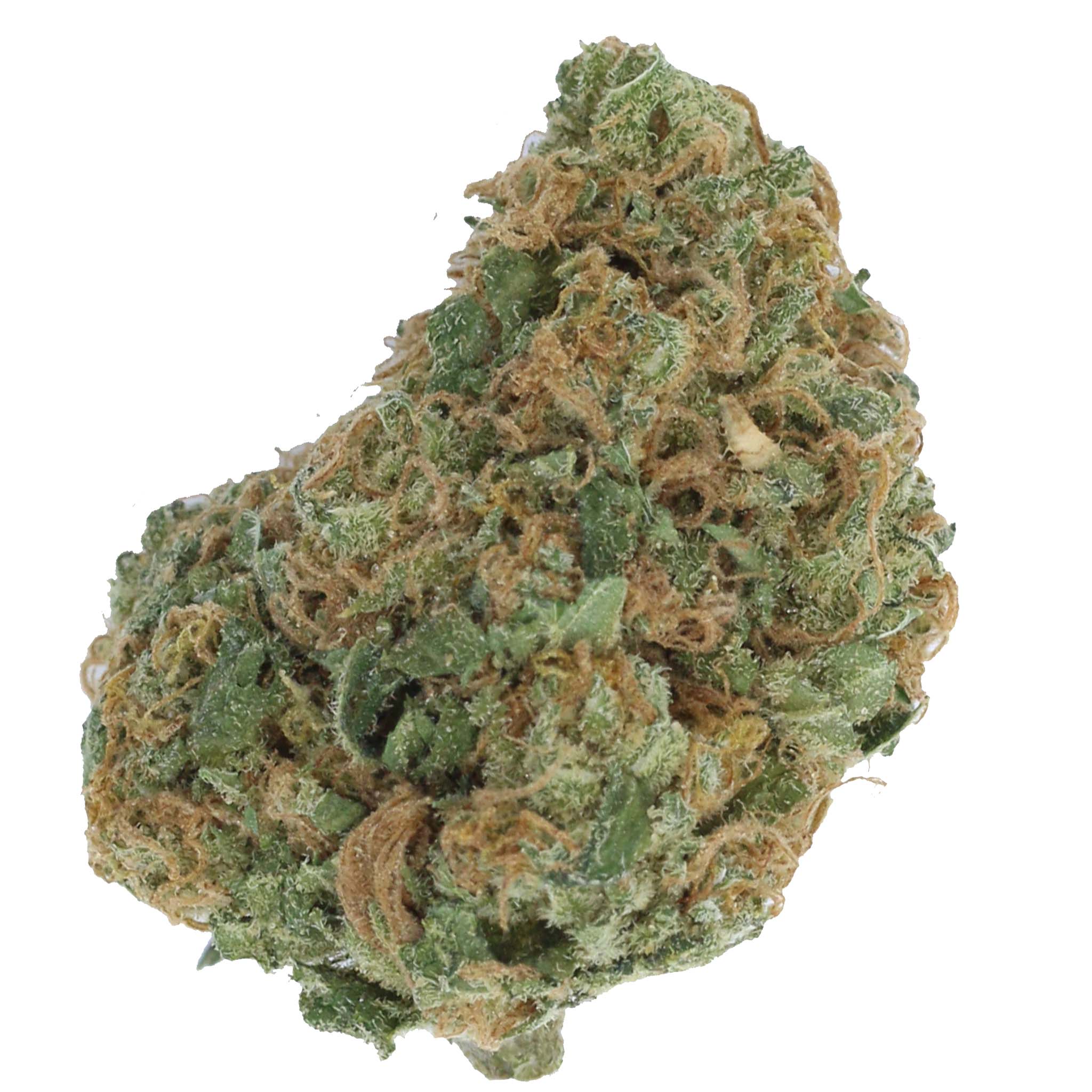 WEED ME : CRITICAL ORANGE PUNCH