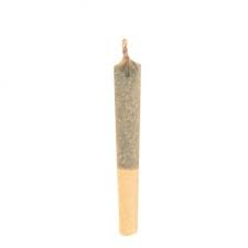 Haven St. : NO. 511 LIVE WIRE PRE-ROLL (0.5g)