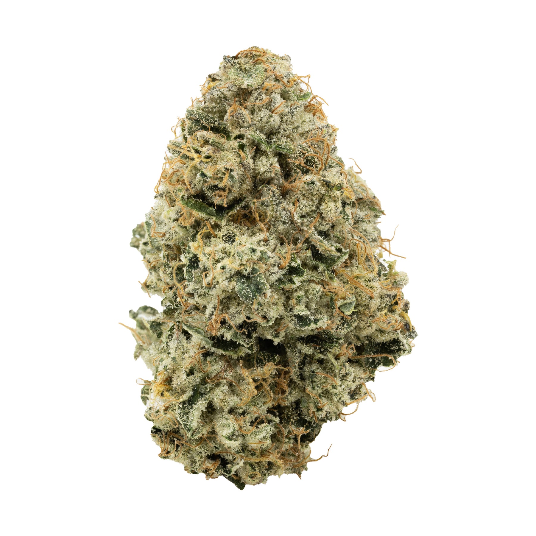 SIMPLY BARE : BC ORGANIC OIL TANKER