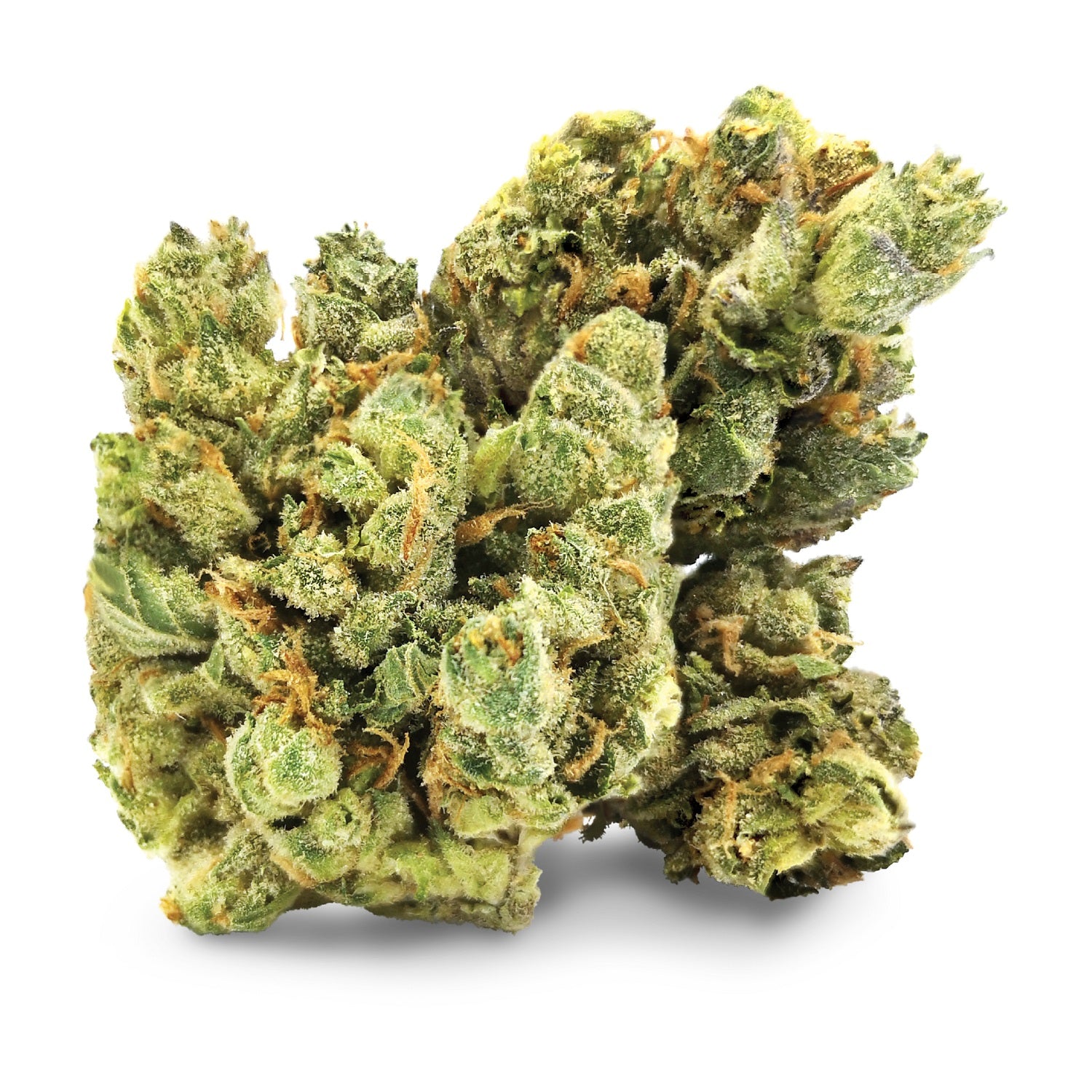 BC BLACK : KRAZY KRYSTAL LAVA CAKE