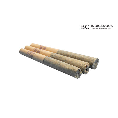 All Nations : Blueberry Fritter Infused Pre-Rolls (3x0.5g)