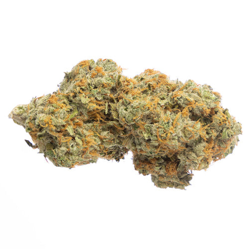 Ten-10 - Biscotti Cake -  Hybrid 3.5G