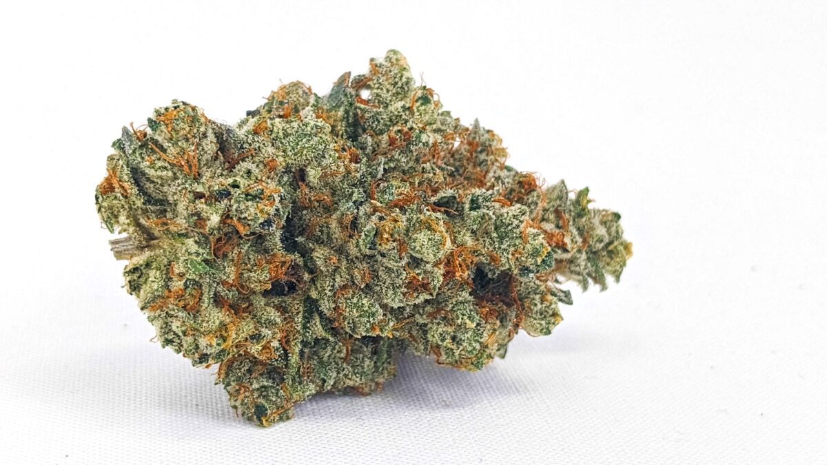 STEWART FARMS : DOSI CAKE